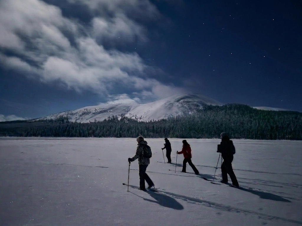 Northern Lights Photography